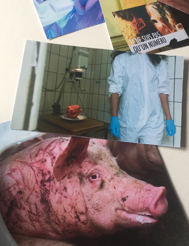 Digital analog conversations &amp; femxle dissonant perspectives on music : florilegio.org/pochemuchka/su…