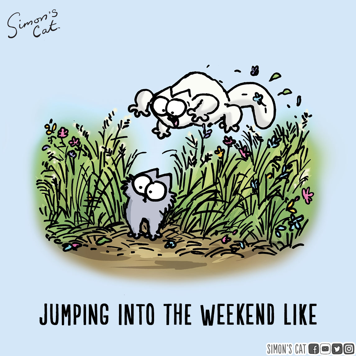 SimonsCat's tweet photo. Jumping into the weekend like! Any plans?! https://t.co/oUzGISCBN8