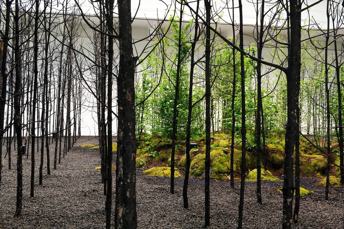 Invocation for Hope, our resurgent forest installation <a href="/Superflux/">Superflux</a>, is now alive and breathing in @MAKWien's beautiful central hall! ⚡🌳✨