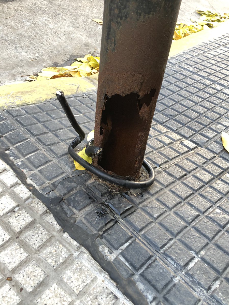 Leandro Martínez tweet media