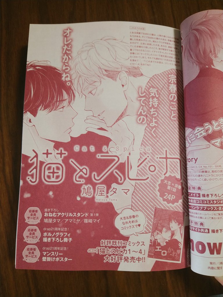 5/31発売drap7月号さんに「猫とスピカ」載せていただいてます。おひさしぶりの大吉は元気ばくはつおにんにんです🥳✨どうぞよろしくお願いします! 