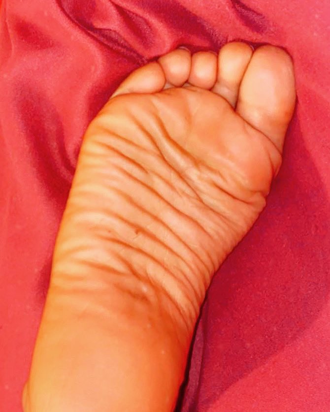 BeautifulTinyFe's tweet photo. U want me to put my foot in your face? Or would u like to lick ice cream off my pretty soles? #prettysoles #solescloseup #sellingfeetpics #customvids #secretseller #feetcontent #feetworshipping #Wrinklyfeet #curlingtoes #footgoddess #lovemyfeet #footfetısh https://t.co/tYBY0KJp3x