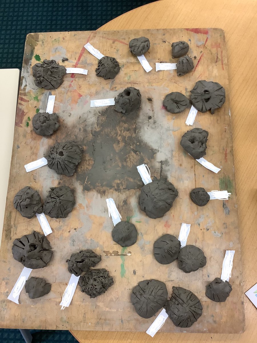 PrimaryPlymouth's tweet photo. For our Ocean Day, the Limpets in Year 1 have been super busy making their own clay limpets and learning some interesting facts about limpets to put in their leaflets. #EduArtsFest #tps #oceanday #oceancurriculum https://t.co/4vSvPGliTR