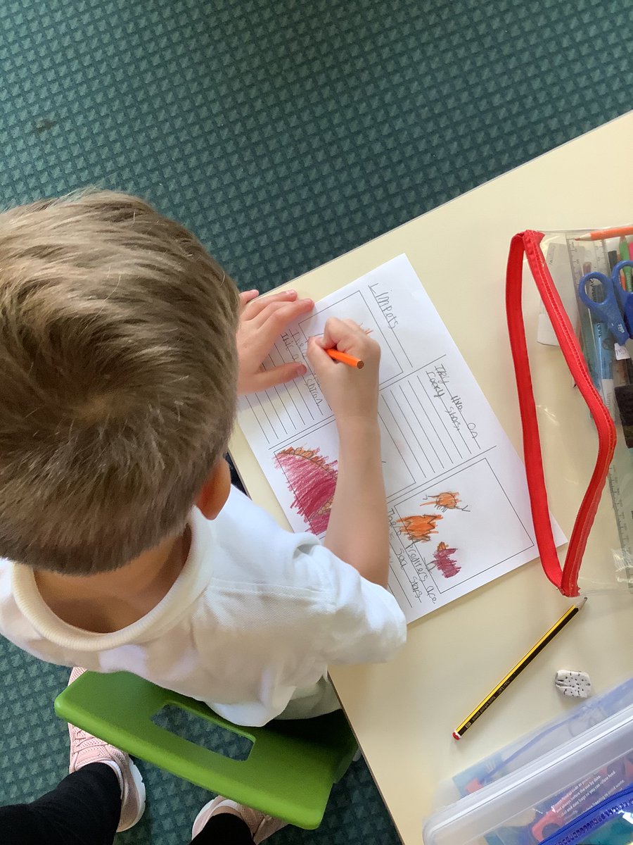 PrimaryPlymouth's tweet photo. For our Ocean Day, the Limpets in Year 1 have been super busy making their own clay limpets and learning some interesting facts about limpets to put in their leaflets. #EduArtsFest #tps #oceanday #oceancurriculum https://t.co/4vSvPGliTR