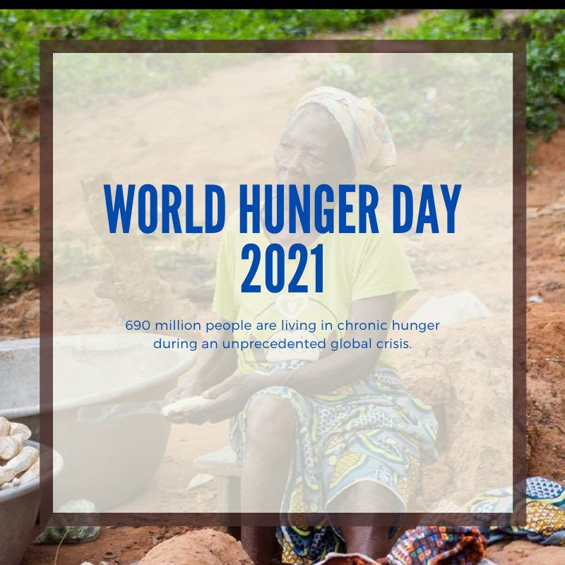 The Hunger Project tweet media