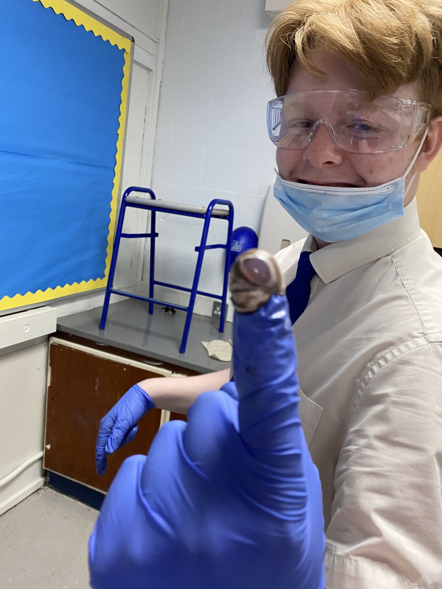 Lathom_Science's tweet photo. Our Y9 Separate Scientists have had an ‘eye’ opening lesson to finish off their half term! #ScienceSuperstars #retina #sclera #lens #OpticNerve #iris #pupil #CiliaryMuscle #SuspensoryLigaments https://t.co/sRPmY3lWUh