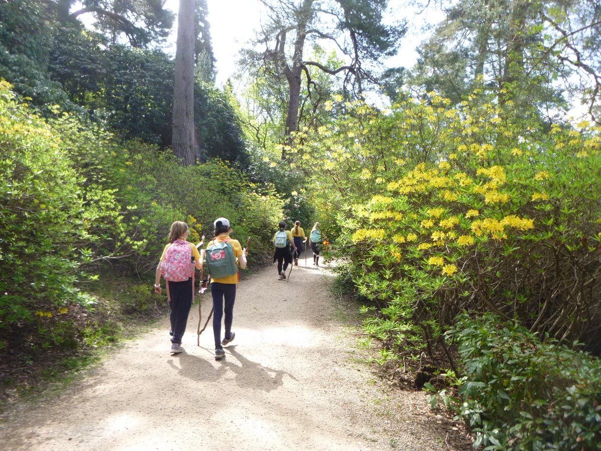 HTLBschool's tweet photo. On Thursday the whole school visited Leonardslee gardens.  Our thanks to the Streeter family for organising this for us.  There was so much to see!
@LeonardsleeG https://t.co/d1i5DedPci