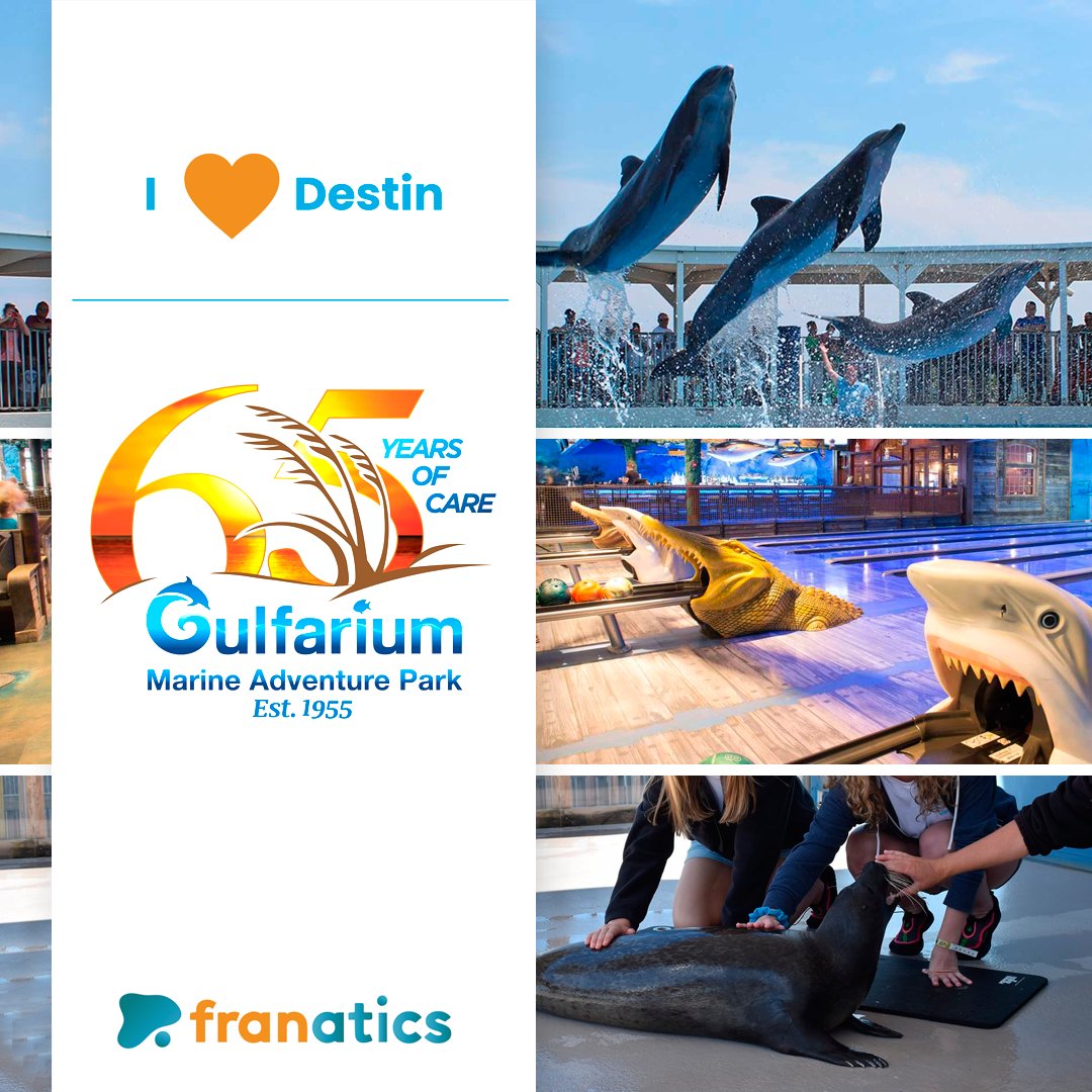 TFranatics's tweet photo. Bring the whole family this weekend and experience the wonders of the world of marine life at Gulfarium Marine Adventure Park. 🐬🦈🐳
@tfranatics
#gulfarium #gulfariummarineadventurepark #ilovedestin #florida #fortwaltonbeach #thefranatics #destinflorida https://t.co/l4nx3645ko