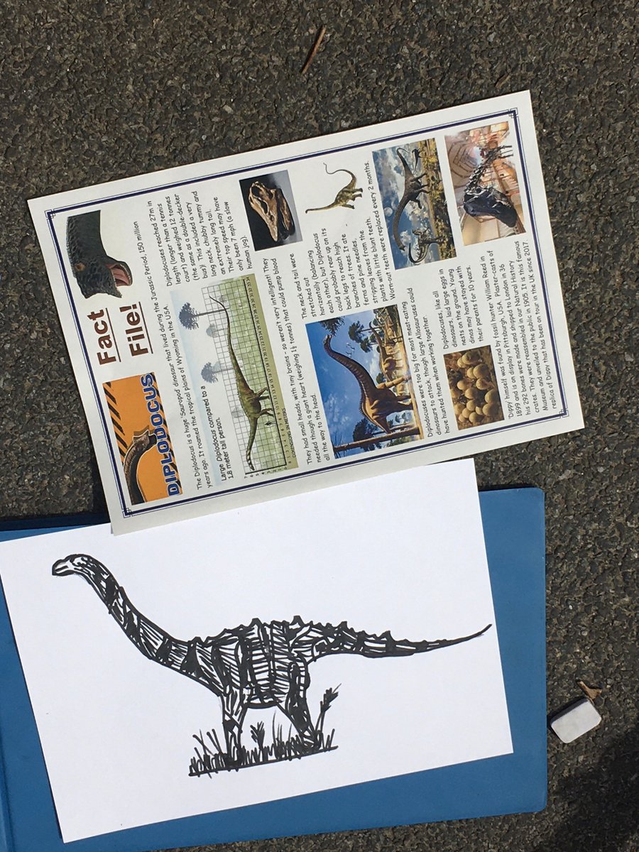 NorSchPartners's tweet photo. Day 2 of our @DippyOnTour workshop with Coltishall Primary School. Pupils are getting creative drawing their interpretations of Dippy! https://t.co/cUNmJtuyE7