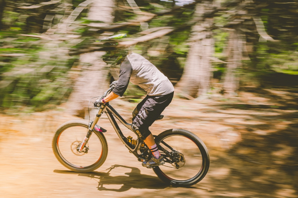 Treeline Chalets tweet media