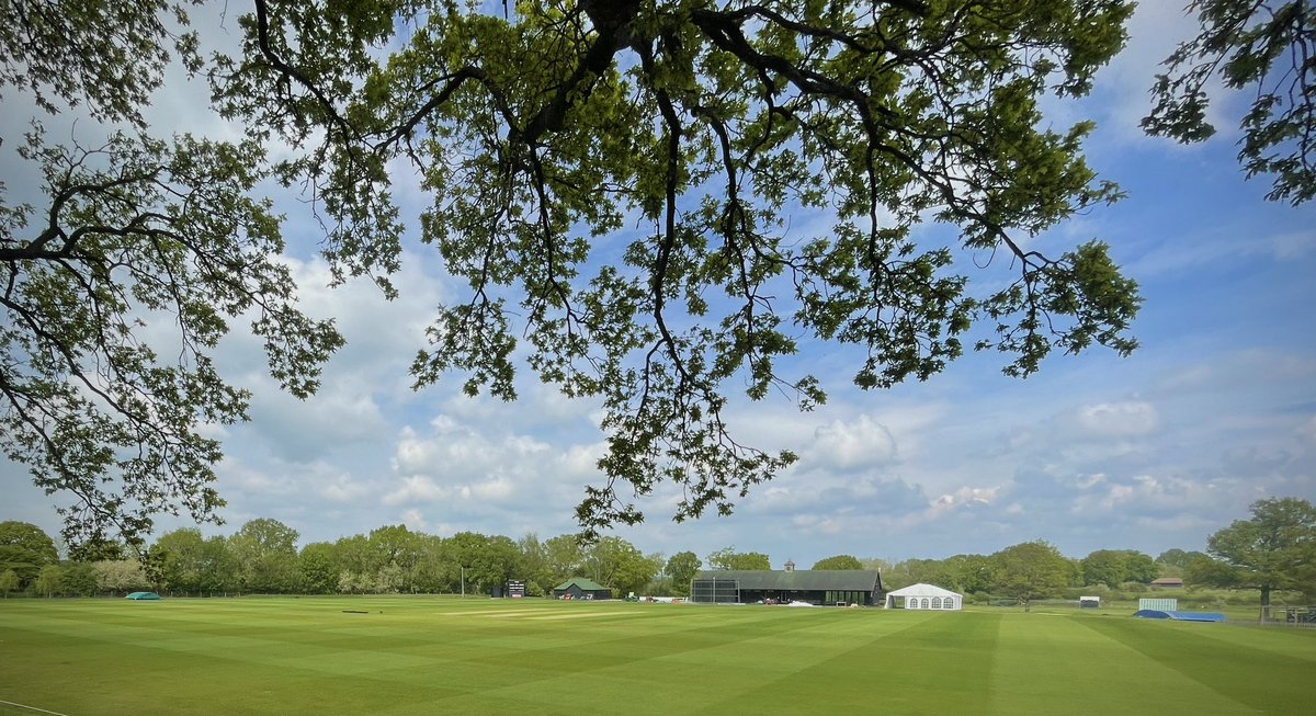 Tom WG (@twarehamgrinst1) on Twitter photo 