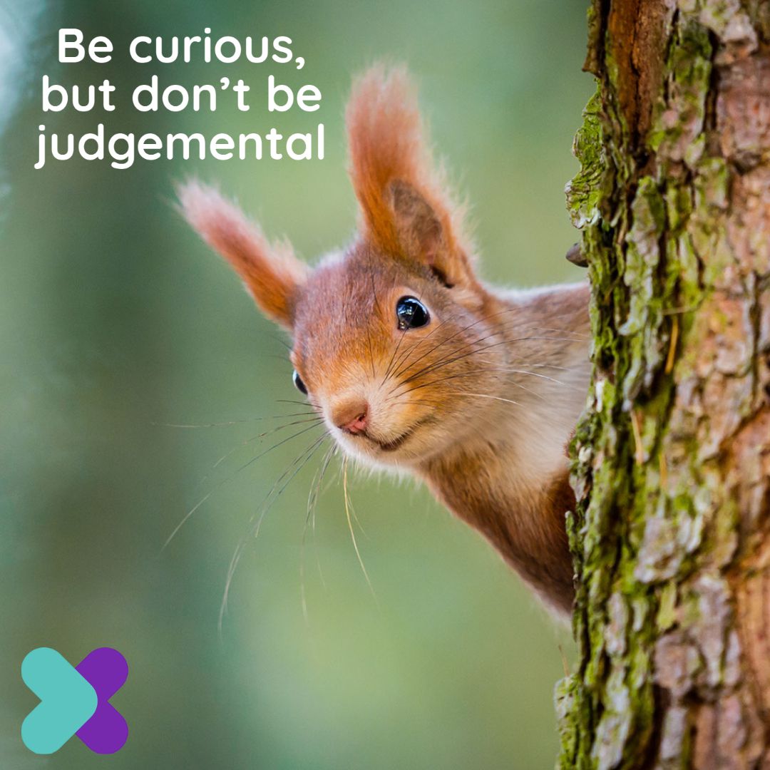 vtx_cpd's tweet photo. vtx:mind

In a world where there is a million and one ways of doing things. Don't judge others if they do not do things the way we do them. But, be curious as to why they do things the way they do. You might find that you learn something new!!

The vtx team

#vtx #vtx_cpd https://t.co/F8JjjvScaN