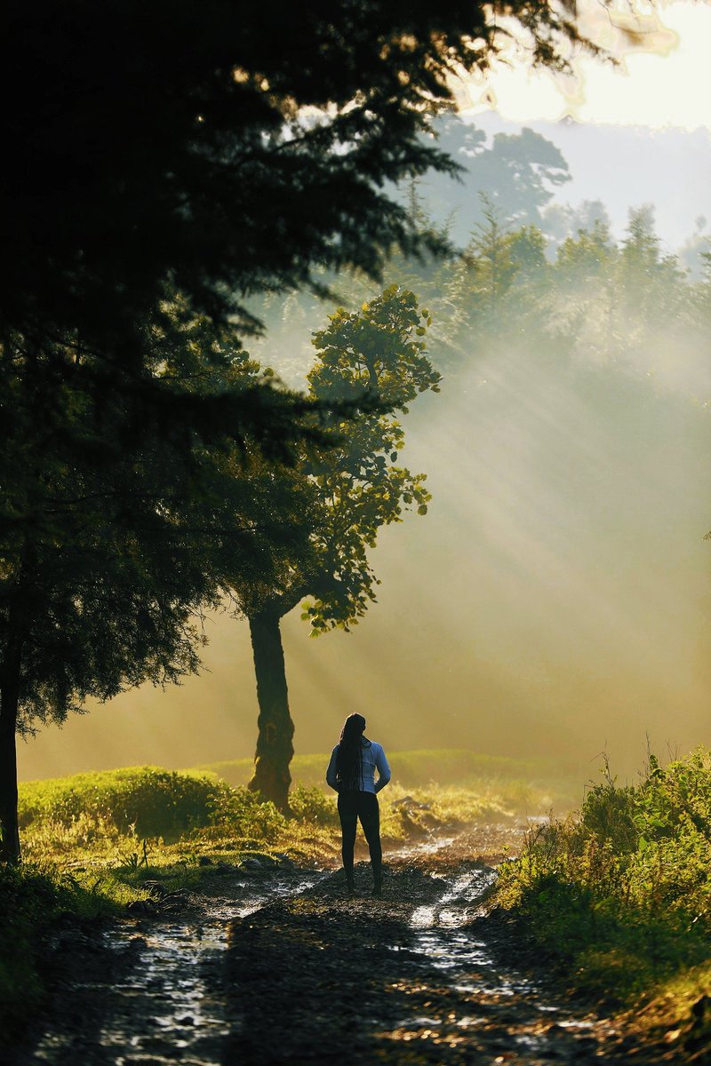 "Morning walk"
Wrapped up a project for <a href="/VavaCoffeeKenya/">Vava Coffee</a> .