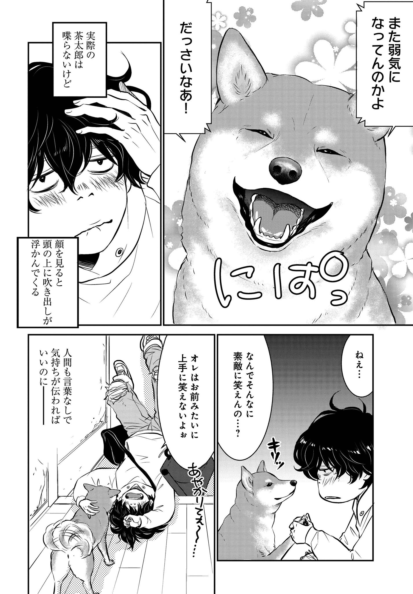 みやうち沙矢 Dog Signal6巻9 8発売 売れない漫画家と聞こえない犬の話 2 12 みやうち沙矢 Dog Signal6巻9 8発売 売れない漫画家と聞こえない犬の話 2 12