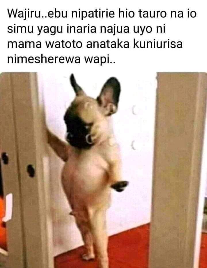 mainajeff3's tweet photo. Na vyenye Hiyoo kichwa yangu ni ngumu🤔🤔🤔 https://t.co/22OEr9X9wr