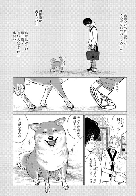 売れない漫画家と聞こえない犬の話 12 12 売れない漫画家と聞こえない犬の話 12 12