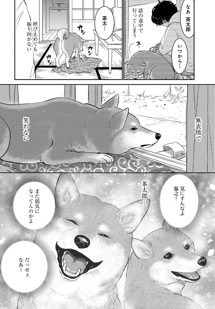 みやうち沙矢 Dog Signal6巻9 8発売 売れない漫画家と聞こえない犬の話 2 12