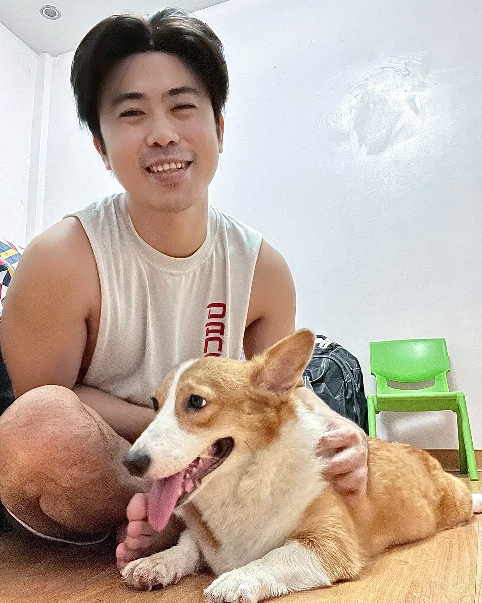 bogsmarvin's tweet photo. Dont be fooled.. she is not a loaf of bread...
#mayumi #corgiph #pembrokewelshcorgi #corgioftheday #dogsoftwitter #tgifridays https://t.co/qQGW9dLPDC
