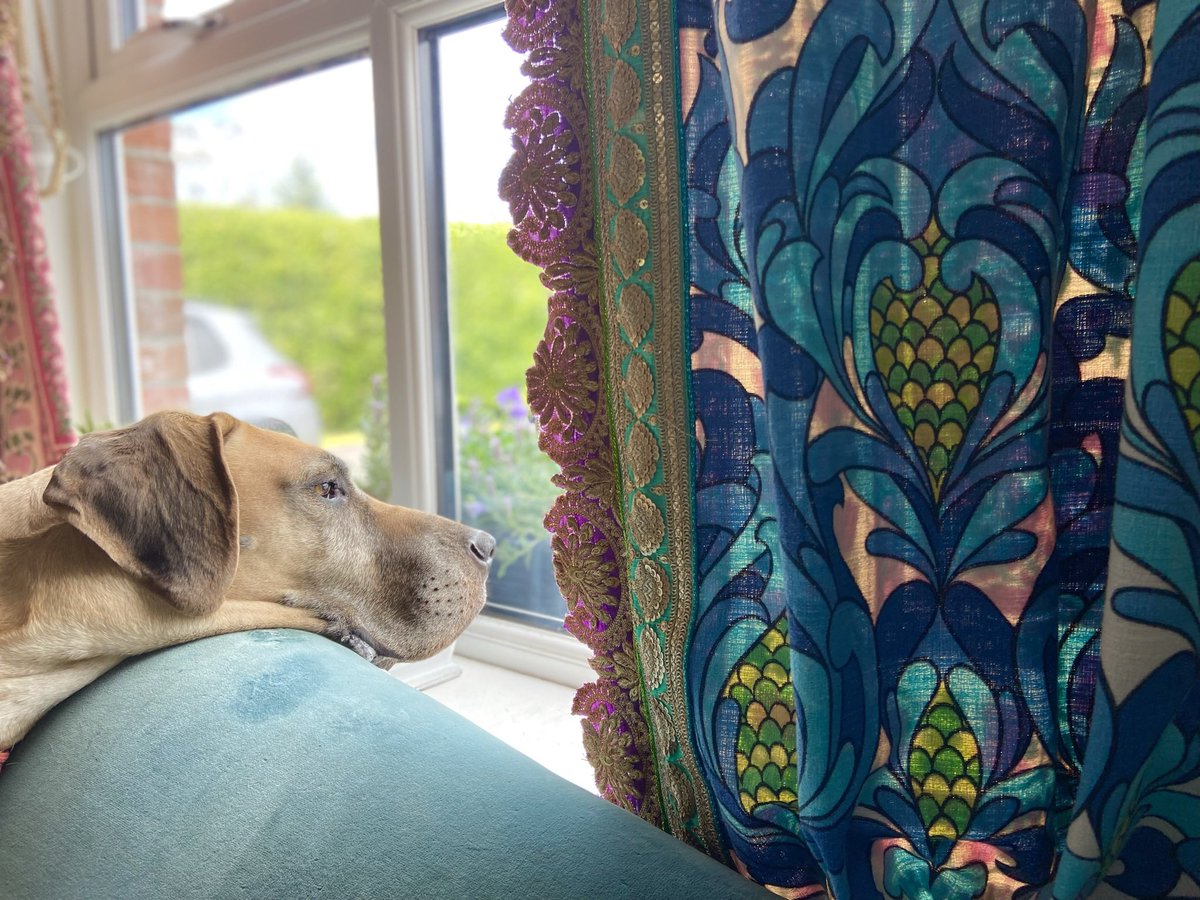AmyScottDesign1's tweet photo. For those of you that haven’t heard I’m going to be branching out from cushions to #vintagecurtains. Yes real 50’s / 60’s /70’s curtains mixed with other #recycled fabrics and my usual Indian trims. 
Who’s excited? 
#comingsoon 
#northernirishinteriors 
#retrocurtains https://t.co/bdQPicGhBS