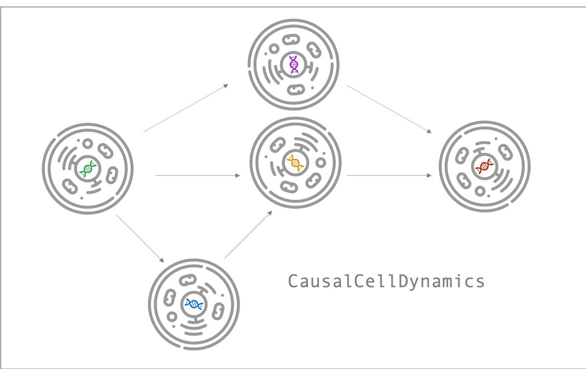 helmholtz_ai's tweet photo. #HelmholtzAI is taking part in the @helmholtz_en #international Lab #CausalCellDynamics🇩🇪🇨🇦 in which @HelmholtzMunich @Mila_Quebec @MPI_IS @mcgillu researchers🧑🔬focus on developing #AI / #ML methods to capture cell 🧬 dynamics!

#HelmholtzAIrecommends ➡️https://t.co/ycwzQGpTOx https://t.co/kFmKqGjS5o