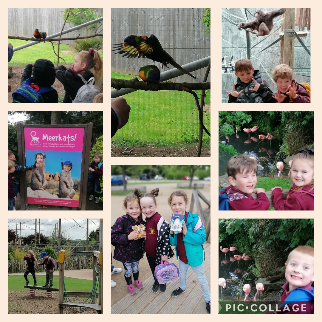 Sir John Moore Primary School tweet media