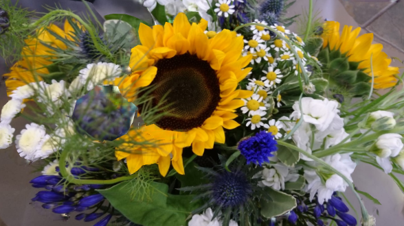HanhamFlorists's tweet photo. Have a lovely, and hopefully, a sunny Bank Holiday weekend everyone! #bankholidayweekend #sunnyflowers #sunflowers #cornflowers #nigella #feverfew #stocks https://t.co/kZxdUTdJuy