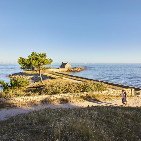 baiecamp's tweet photo. Pour vous, quelques idées de balades et randonnées autour du camping : 
👉https://t.co/BxWFiPy1W6...
#balades #rando #baiedequiberon https://t.co/VulrH7hJxg