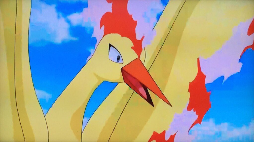みちこ ラスト看護学生 伝説のポケモンの威厳を放ちつつ リアルにらみつける からの びっくり顔からの 腹パンされたような顔からの 白目までしてくれるファイヤーさん 通称にらみつけるさん Anopoke T Co Gep9xyllow Twitter