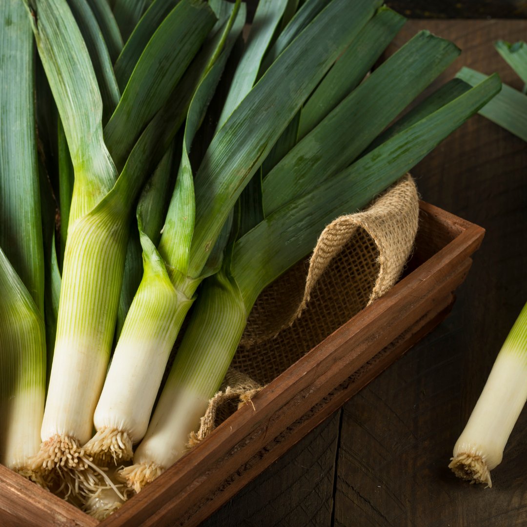 What gives you that Friday feeling?

For us it’s our fantastic selection of veg! 🥕

#NorthEast #Wholesalers #FoodSupplier #LocalSupplier