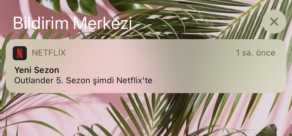 Daha güzel bi haber olamazdı 😍