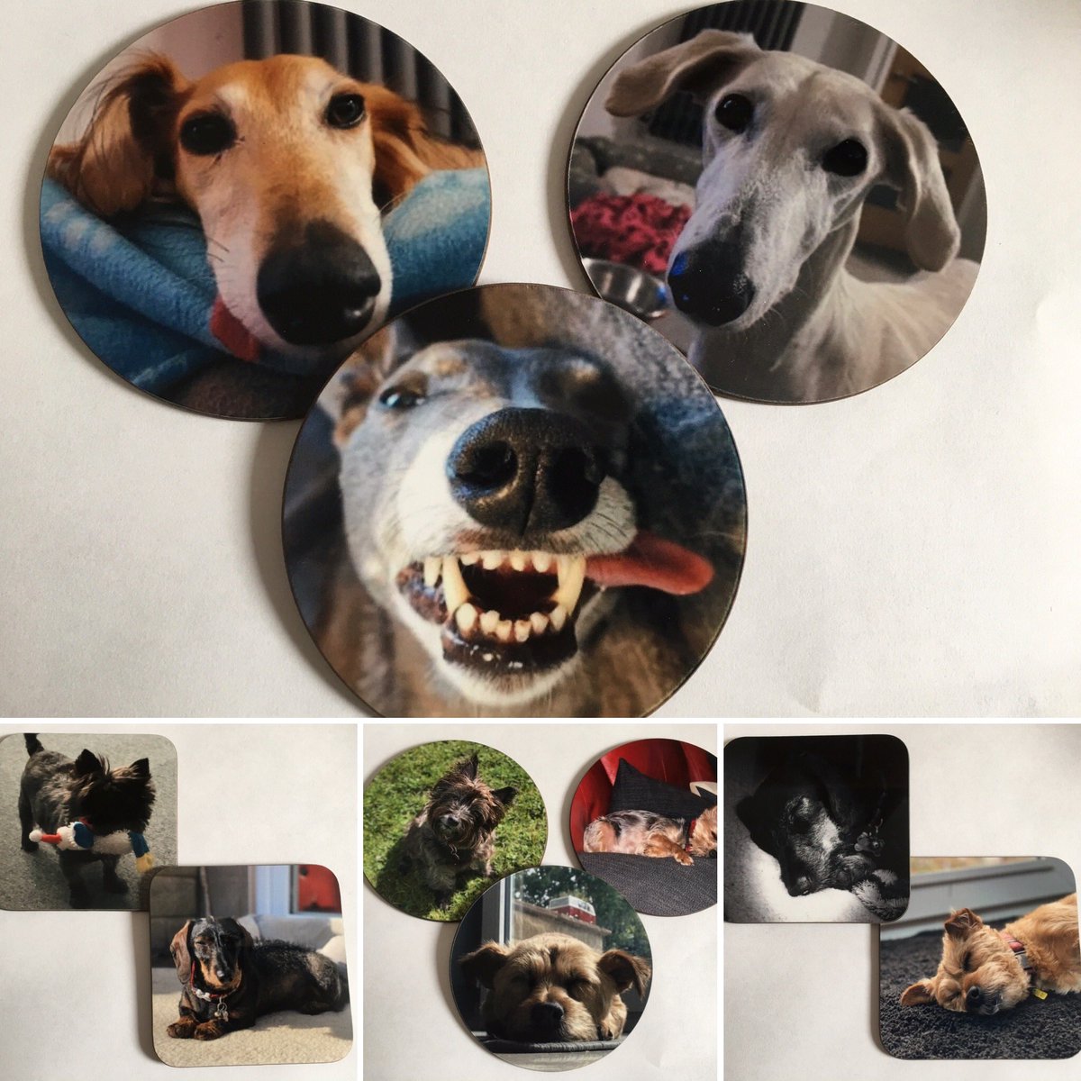 sashillyknits's tweet photo. Personalised coasters now available with your own photo. 9cm diameter or 9cm square. You can obviously use any photo but I had to use this gorgeous gang as models! Only £3 each. https://t.co/TLJWFxzlCd