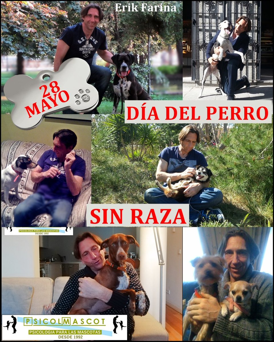 psicolmascot's tweet photo. FELIZ DÍA DEL PERRO SIN RAZA #psicolmascot #perrosinraza #diadelperrosinraza #díadelperrosinraza #perrosmestizos #sinraza #adopta #adoptaunperro #AdoptaNoCompres #diadelperro #diadelperrosinraza2021 #28deMayo https://t.co/Jcr2pv2IgR
