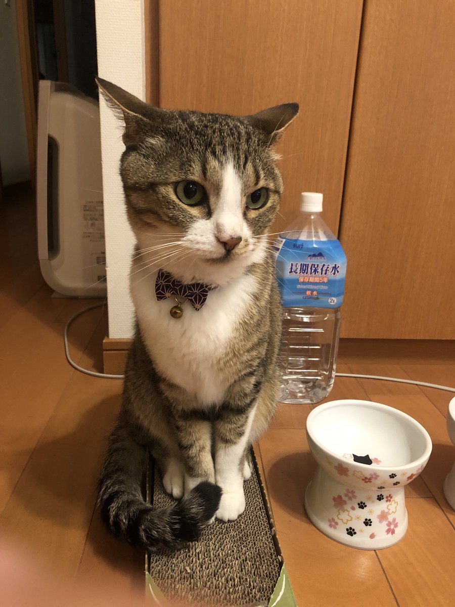 櫻井 美咲 Misakicherry 19 Twitter