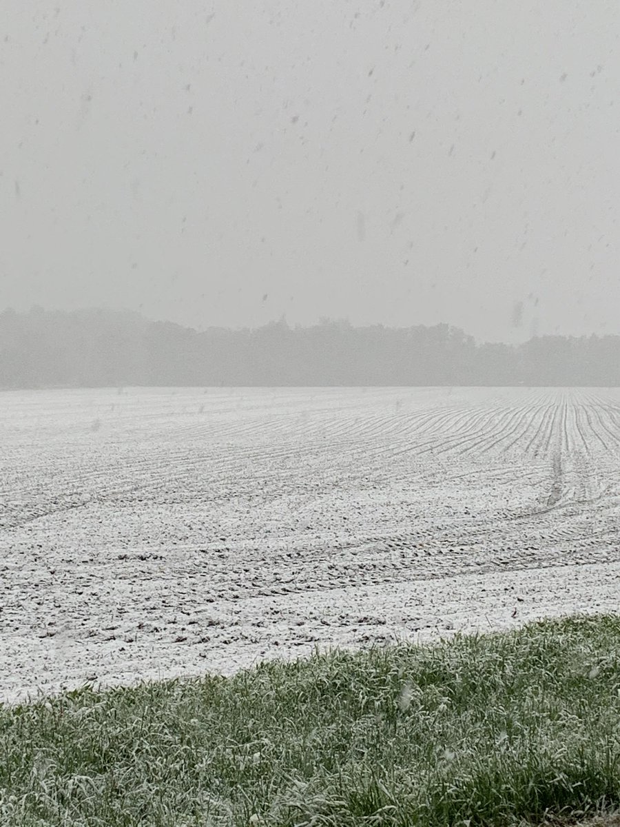 ScottCaughill's tweet photo. Four more inches and the pre-emerge herbicide should be activated https://t.co/j9fatVxlSs