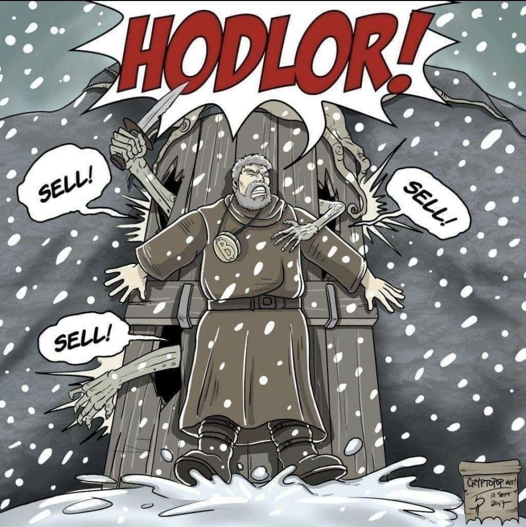 Eljaboom's tweet photo. #Bitcoin HODL https://t.co/DCIDfyXWdp