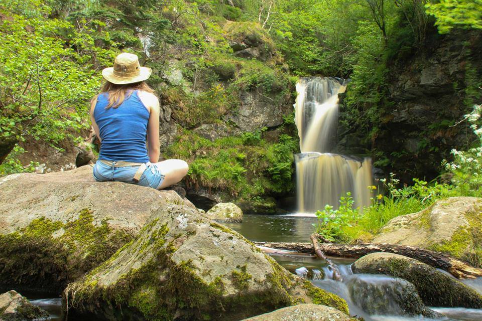 Ana Aranha tweet media