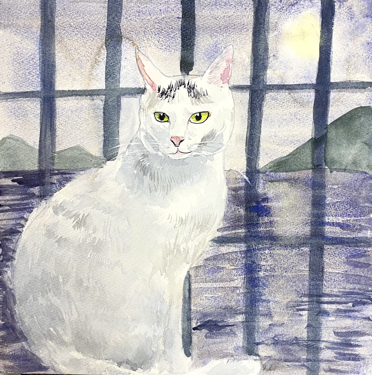 あおニャーマン 月明かり 猫イラスト 猫の絵 猫の絵画 水彩画 アナログ絵 猫作家 なまねこ生活 猫の国 絵本 猫画家 イラストレーター イラストレーション 動物画 あおニャーマン