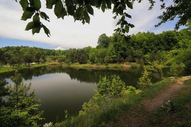 Türkiye'nin oksijeni bol en güzel yerlerinden biri! Domaniç Dağları doğa tutkunlarını ağırlıyor buff.ly/3c1JYBv