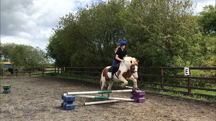 ClyneFarmCentre's tweet photo. Ferne, Boyo and Bert jumping the first fence on the course of show jumps 🐎 

#ShowJumping #CoursePractice https://t.co/HZGfZOIRIF
