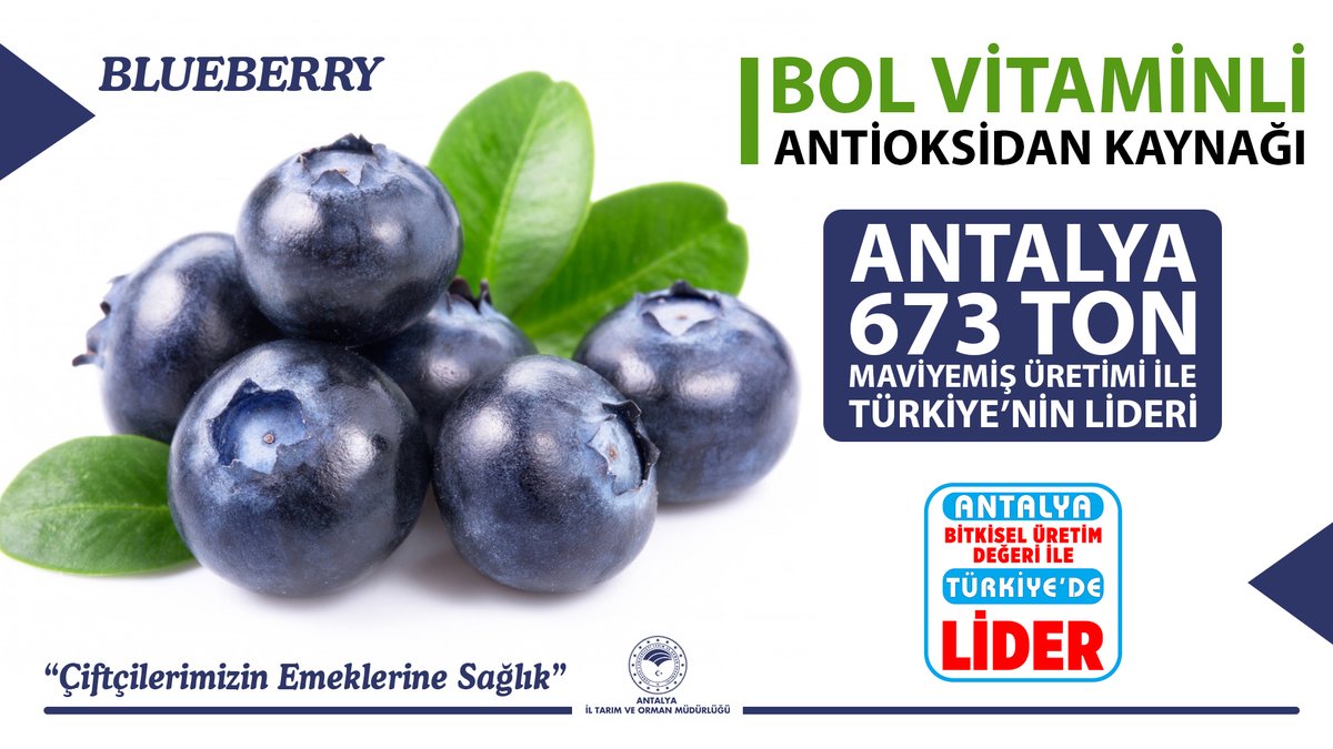 antalyailtarim tweet picture