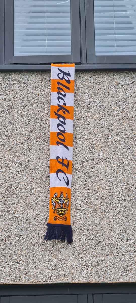 Tangerine Knights tweet media