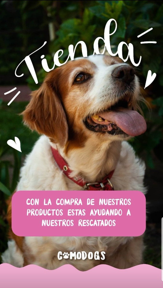 comodogs tweet picture