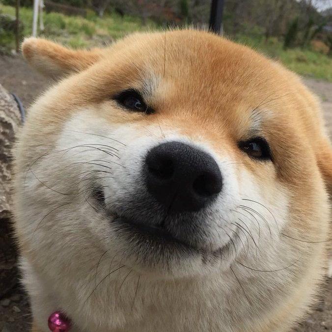 เควสเมจหน่อยคับพี่ๆ