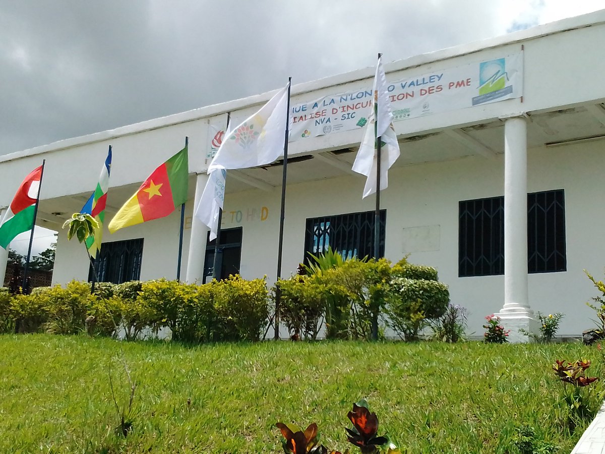RPanafricain's tweet photo. 🔴 PROTOCOLE D'ACCORD 

Nous accompagnons nos partenaires en particulier #NVA qui célèbre la signature officielle de convention en vue de la mise sur pied du centre d'incubation @SicNva PME. 

@MinaderCm 
@celcomminpmeesa 
@AlliantF 
@yalidakar 
@UNV_ROWCA
@CompagnyE 
@CaredepaO https://t.co/c6nGvRNCyv