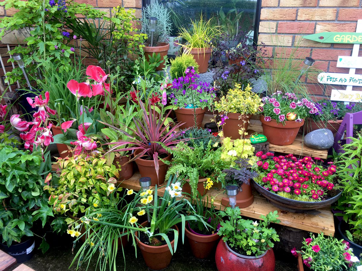 Afternoon everyone, rain has finally stopped ... apparently we’re due to have some settled sunny weather next week 😎😎 Meantime enjoying all the colour and the last of the Tulip and Narcissus flowers. Have a lovely one there 😃🌿🌾🌸 #HortiHugh
