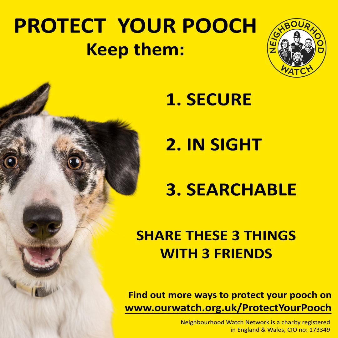 Dog owners are increasingly concerned about dog theft. To protect your dog, see @N_Watch top tips on how to keep your dog SECURE, IN SIGHT and SEARCHABLE and reduce your chances of becoming a victim of dog theft. #protectyourpooch. ourwatch.org.uk/protectyourpoo…
