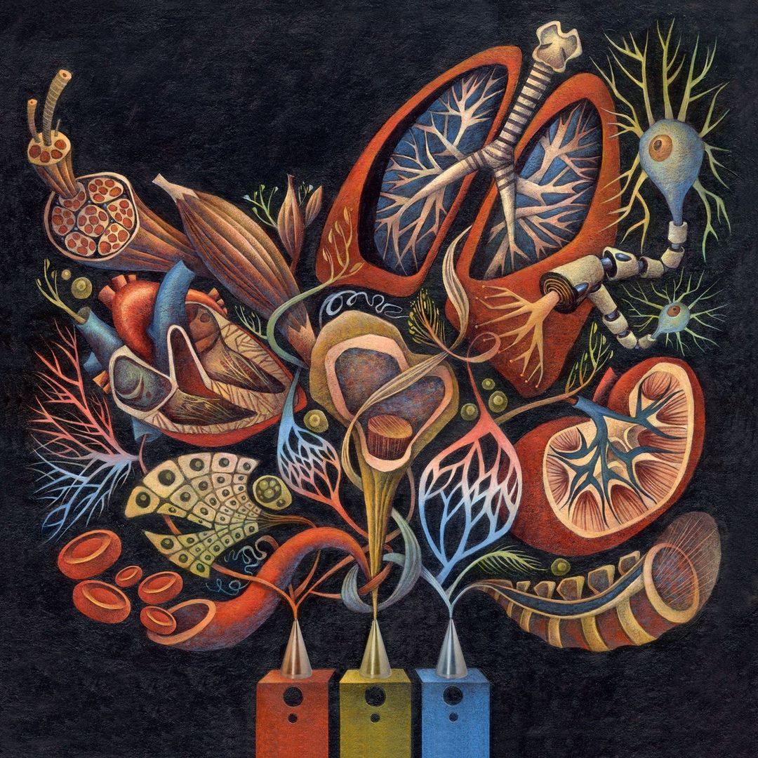 DirIllustration's tweet photo. When #art meets #science through the skillful touch of @saratysonart, you get this wonderful illustration 👁️
-
View more work here: https://t.co/CYItw9lx5v
-
#organs #medicalillustration #organengineering #directoryofillustration https://t.co/BDbztmKwkm