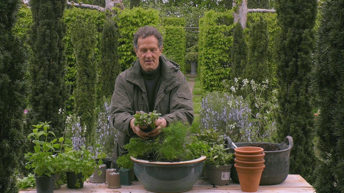 Clematis, herbs for shade, sweetcorn, euphorbias, dahlia growalong - it's all go on tonight's show! Just the ticket ahead of a #BankHolidayWeekend. See you later 😎🌷🐾 #GardenersWorld #FridayFeeling #FlowersOnFriday