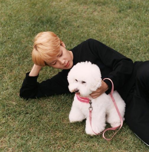 bypalletsuga's tweet photo. tópico adorável: o carinho que o Jimin tem por dogs. https://t.co/qXgfpvoAfr