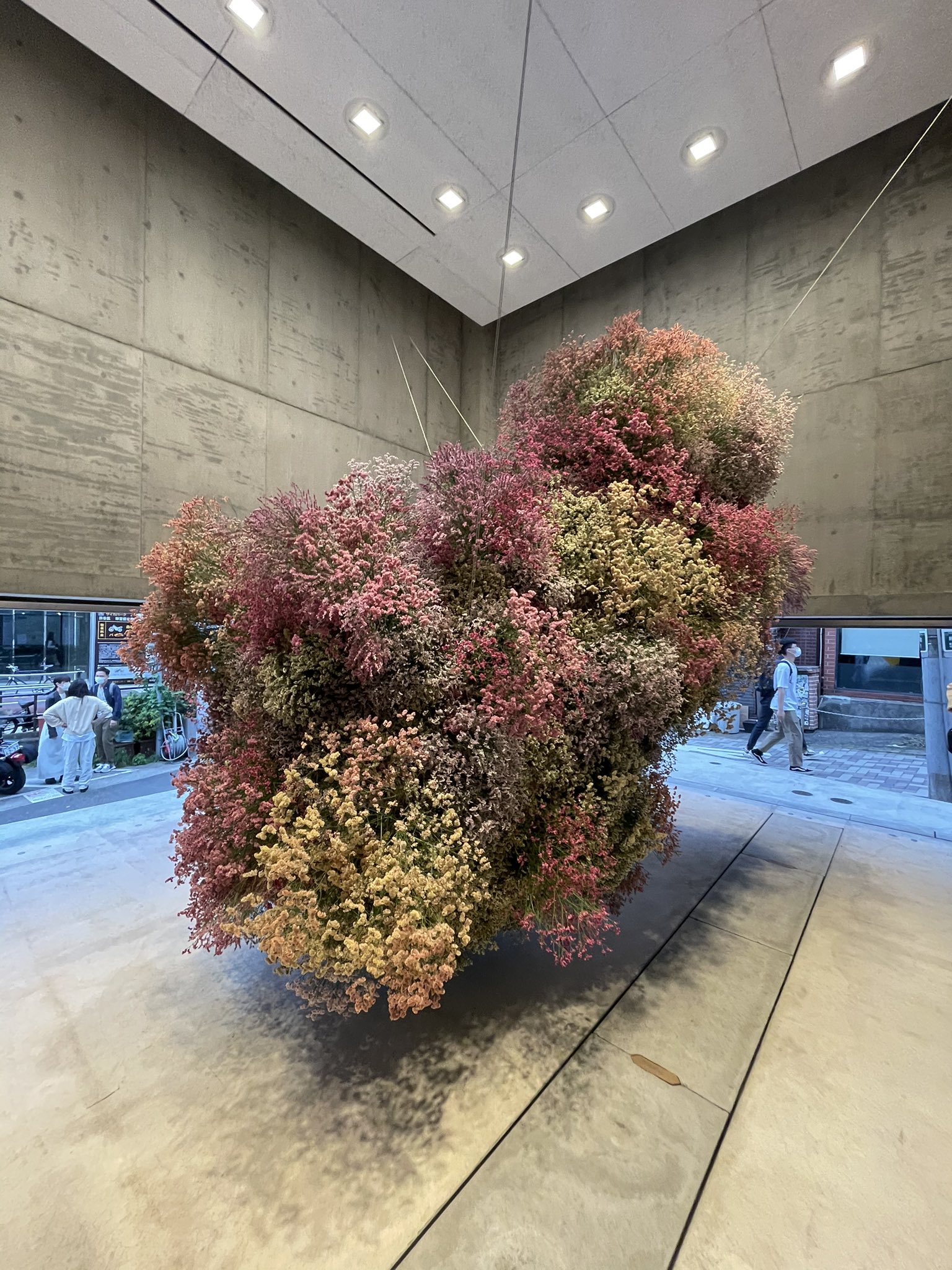 Fashionsnap Com 明日から Edenworksの篠崎恵美によるインスタレーション エキシビションが明日開幕 スターチスの花の成長からドライフラワーになるまでの過程を展示で公開します 会期は6月日まで T Co Edet9facbs T Co At6xydekpq
